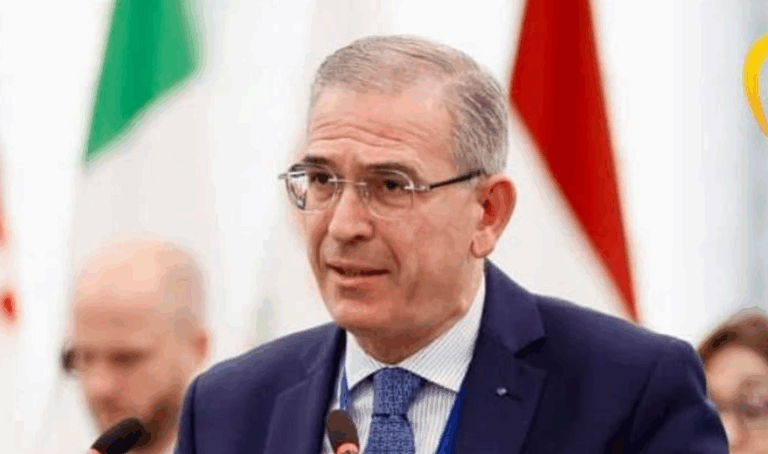 Relazione sulle attività finanziarie della Banca europea per gli investimenti Anno 2024 della Commissione europea per i problemi economici e monetari